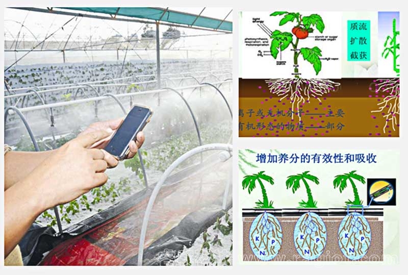 温室智能灌溉控制系统