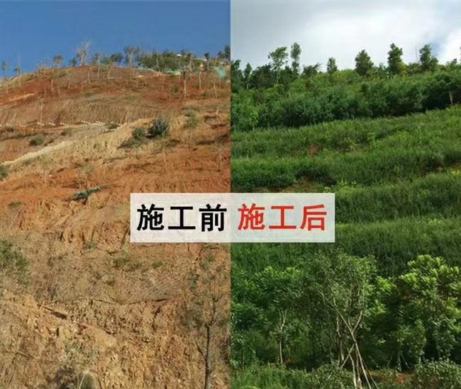 山体生态恢复边坡喷播植草挂网客土喷浆用铁丝网客土喷播施工边坡挂网矿山复绿边坡绿化施工挂网