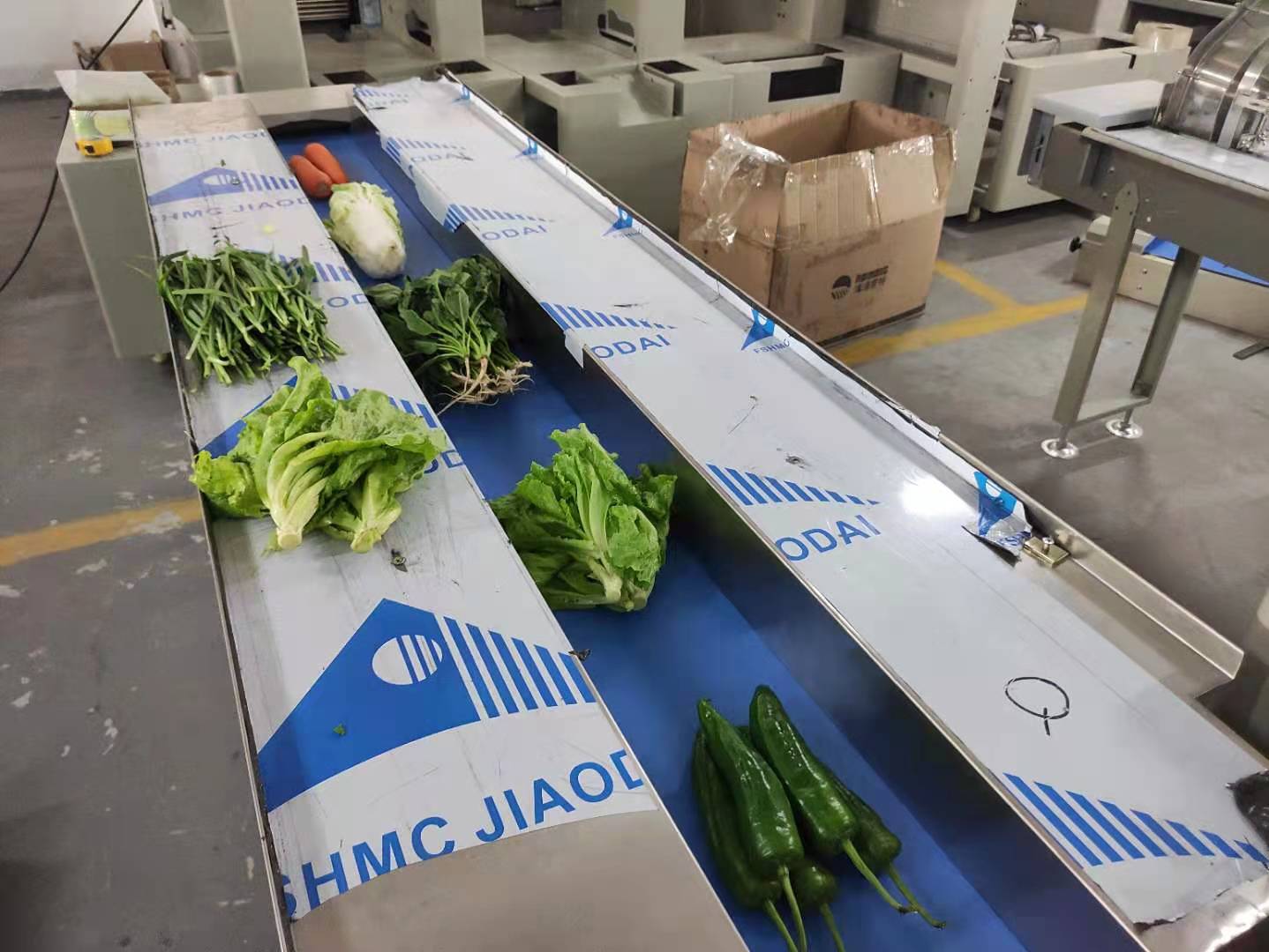 佛山市枕式包装机械 蔬菜自动打包机厂家枕式包装机械 蔬菜自动打包机