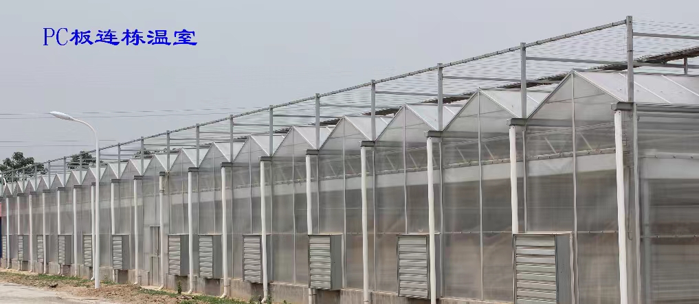 阳光板温室 pc阳光板连栋温室 农业休闲温室 造价低
