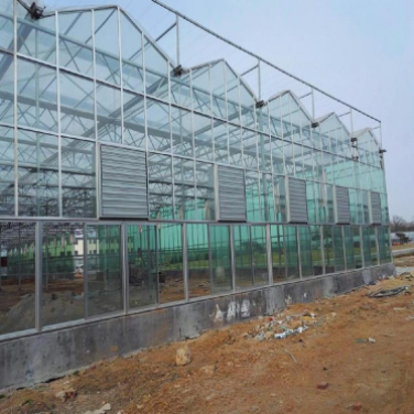 育苗温室大棚 蔬菜玻璃温室育苗温室大棚 蔬菜玻璃温室 一跨多顶 冬季保温效果好