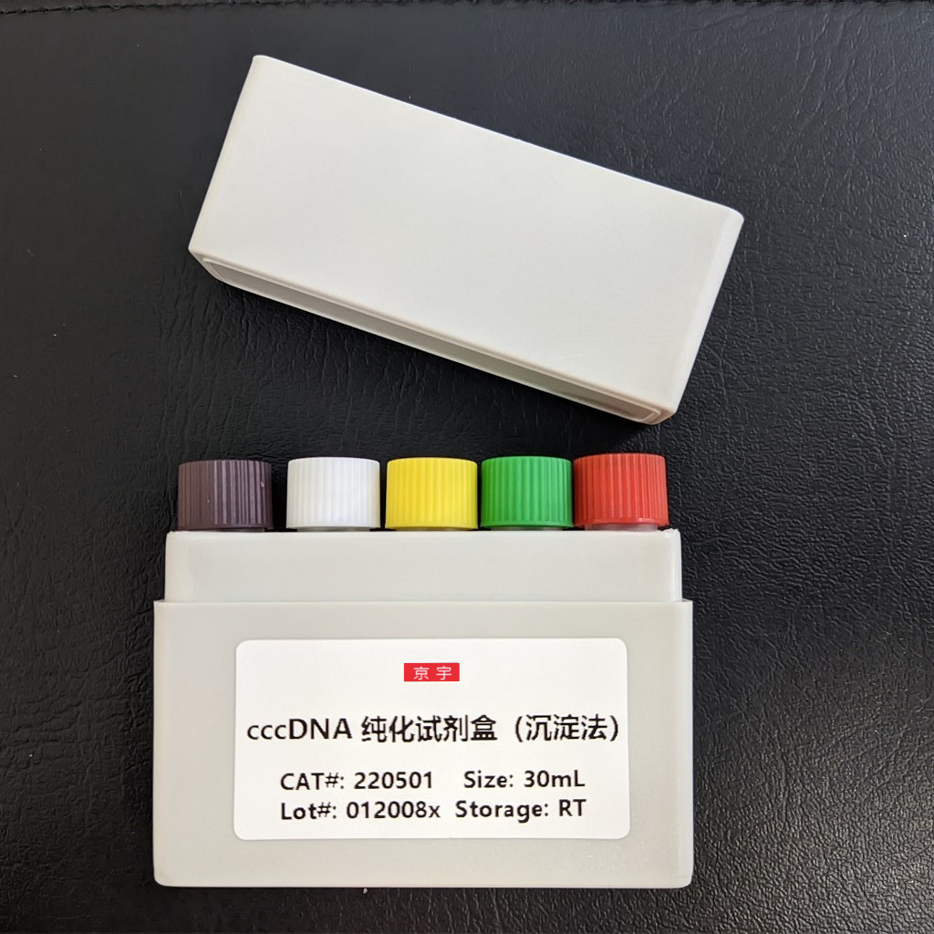 京宇 cccDNA纯化试剂盒溶液A
