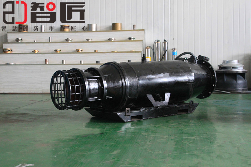 开平卧式潜水泵ZJ250QJW80-600/20智匠泵业倾斜轨道式雪橇式泵