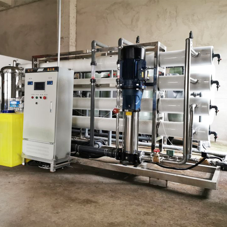 EDI超纯水设备 工业级水处理设备 双级反渗透纯水定制