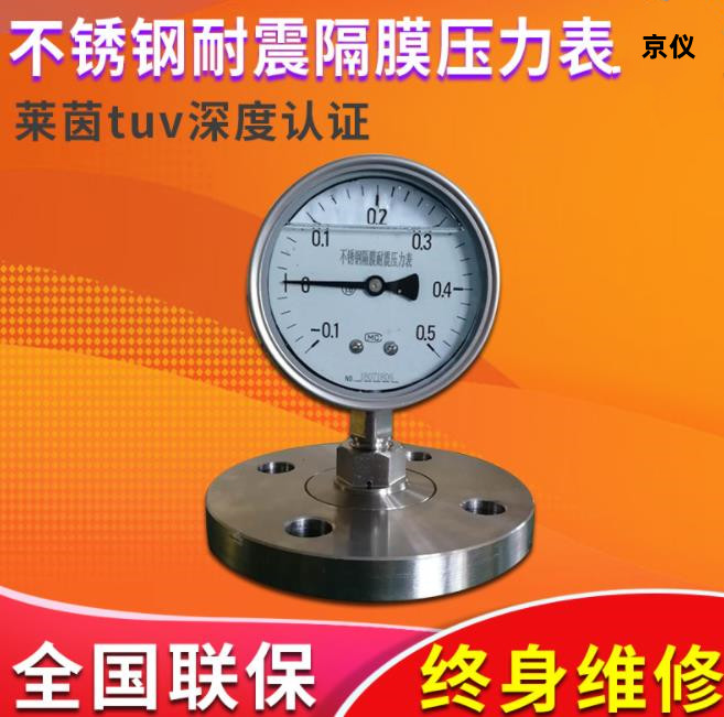厂家生产YTF100/150系列隔膜压力表  不锈钢膜盒压力表 隔膜压力表
