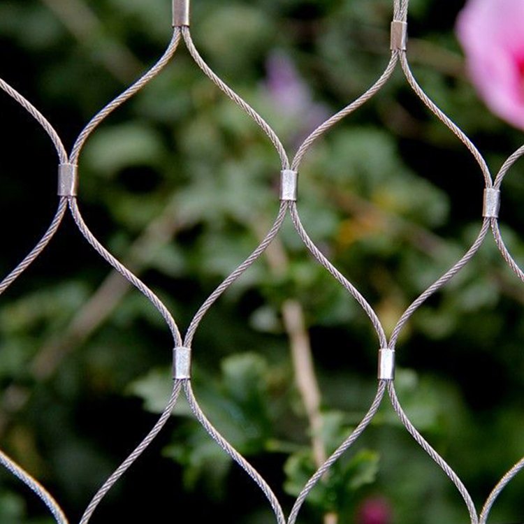 温州市植物爬藤绳厂家不锈钢植物爬藤网 高空钢丝防坠落网 墙体植物爬藤绳
