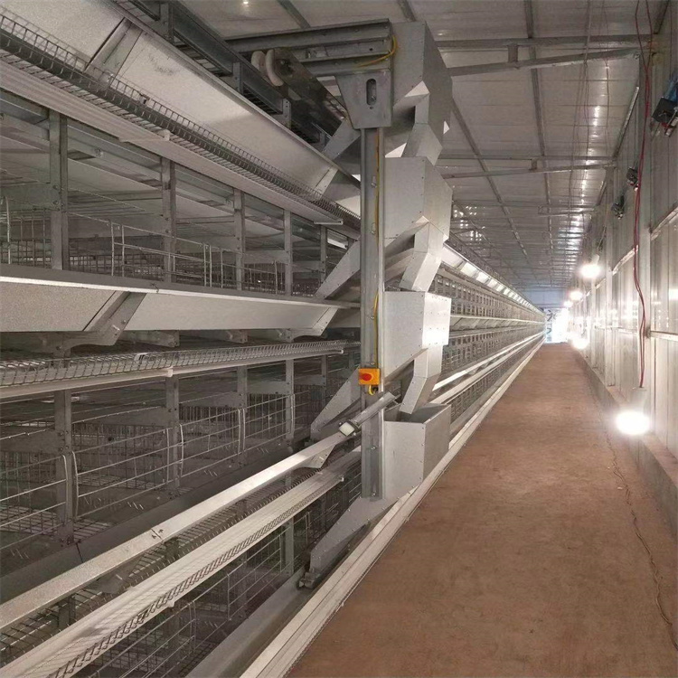 大框架蛋鸡笼养5万只鸡的鸡笼 四层热镀鸡笼