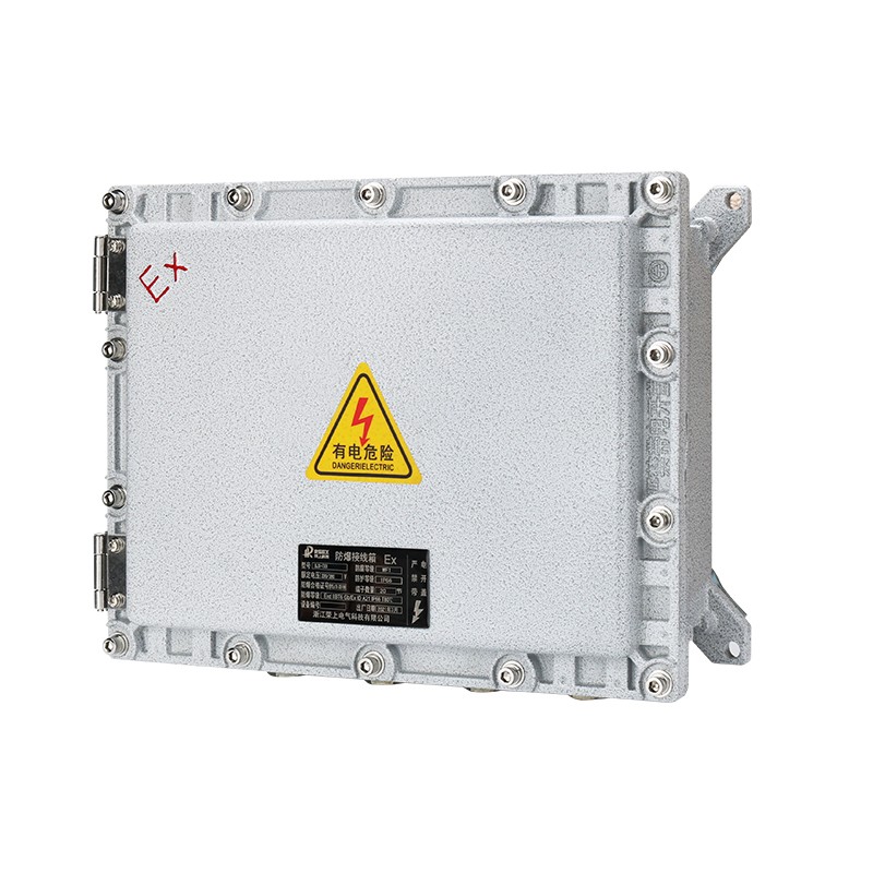 防爆配电箱不锈钢控制箱照明动力接线箱仪表检修控制柜电源插座箱  BJX BXM51 BXK