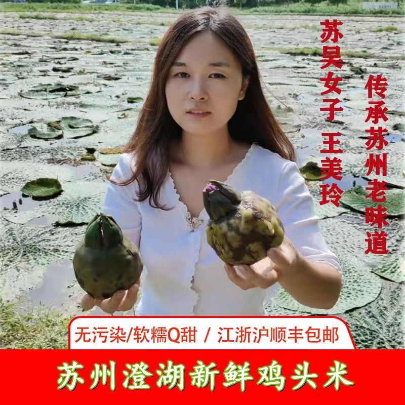 苏州特产水八仙新鲜鸡头米礼盒装图片