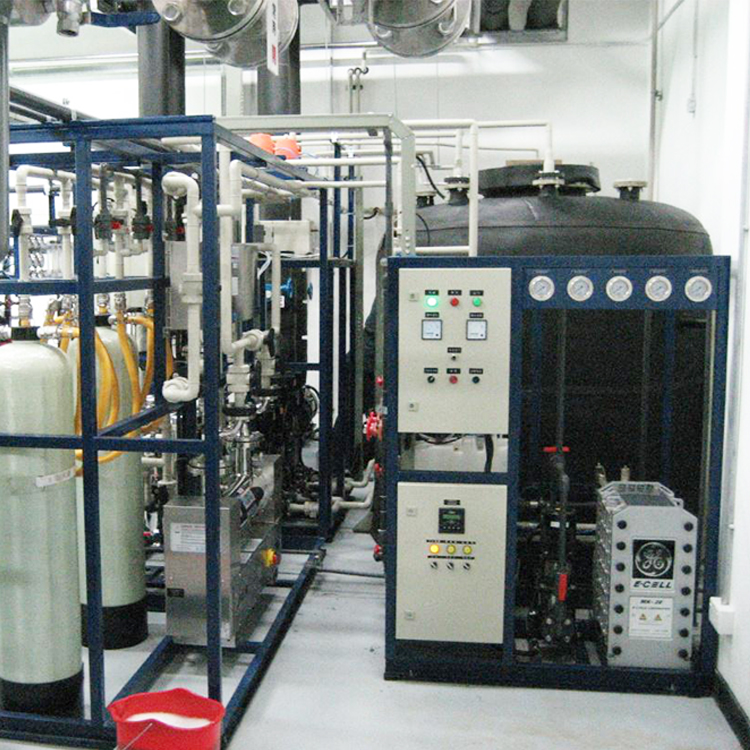 0.25-100t工业反渗透纯水设备高纯水EDI超纯水装置
