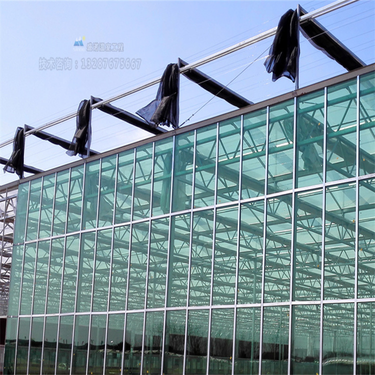 PC版玻璃连栋阳光板温室大棚种植蔬菜水果市场昌越温室工程
