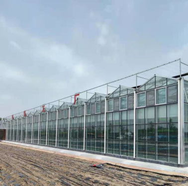玻璃温室材料 玻璃连栋温室 玻璃温室多少钱