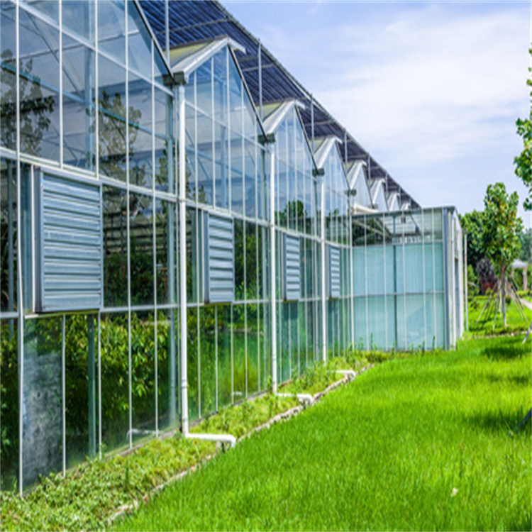 连栋阳光板温室大棚PC版玻璃连栋阳光板温室大棚种植蔬菜水果市场昌越温室工程