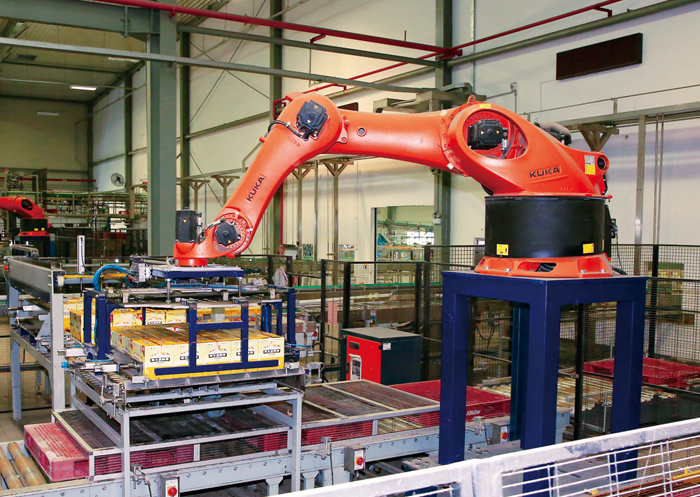 自动化码垛机器人自动化生产线升级改造