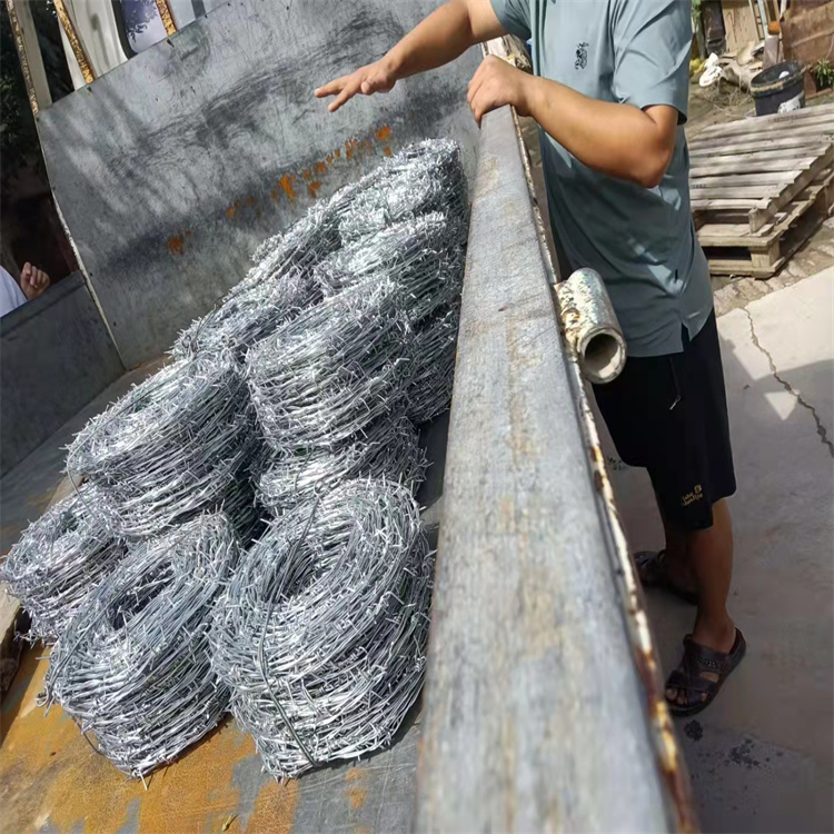 河北镀锌刺绳厂家供应北京公路刺铁丝天津圈山铁蒺藜
