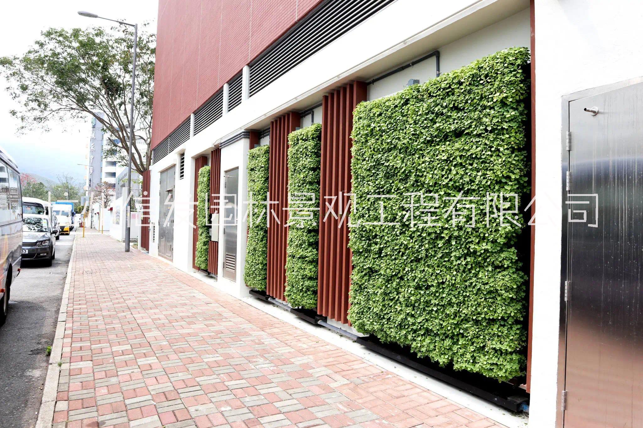 植物墙公司 植物墙厂家 植物墙施工 植物墙安装