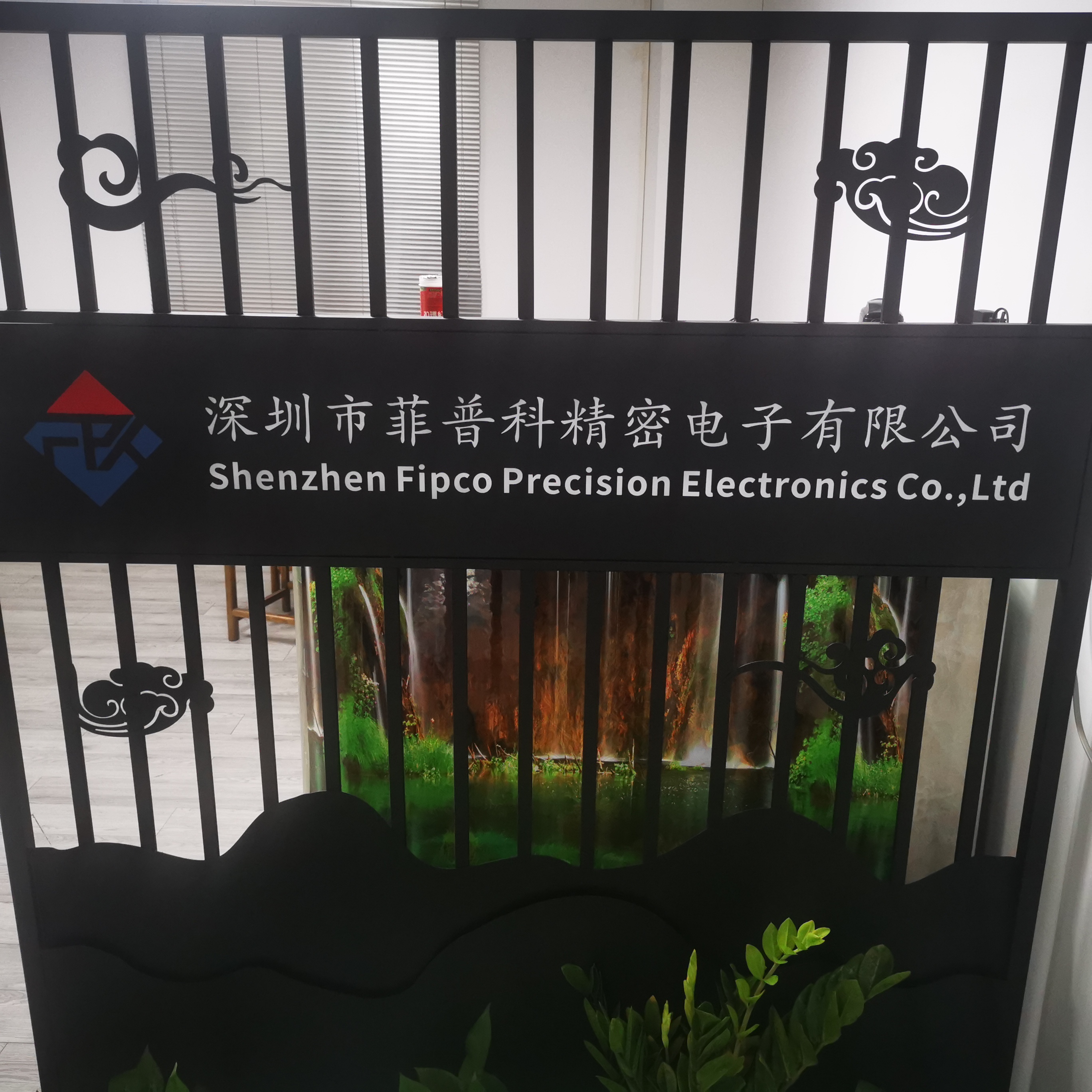 深圳市菲普科精密电子有限公司