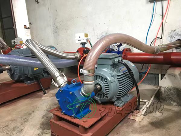 转子泵厂家 转轮泵 不锈钢转轮 高粘度转轮泵 无堵塞转轮泵 容积式泵