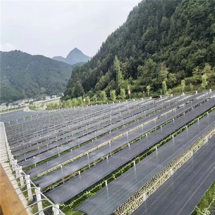 农用种植遮阳网农用种植遮阳网 防晒降温果树防霜防冻遮阴网  工地用的遮阳网