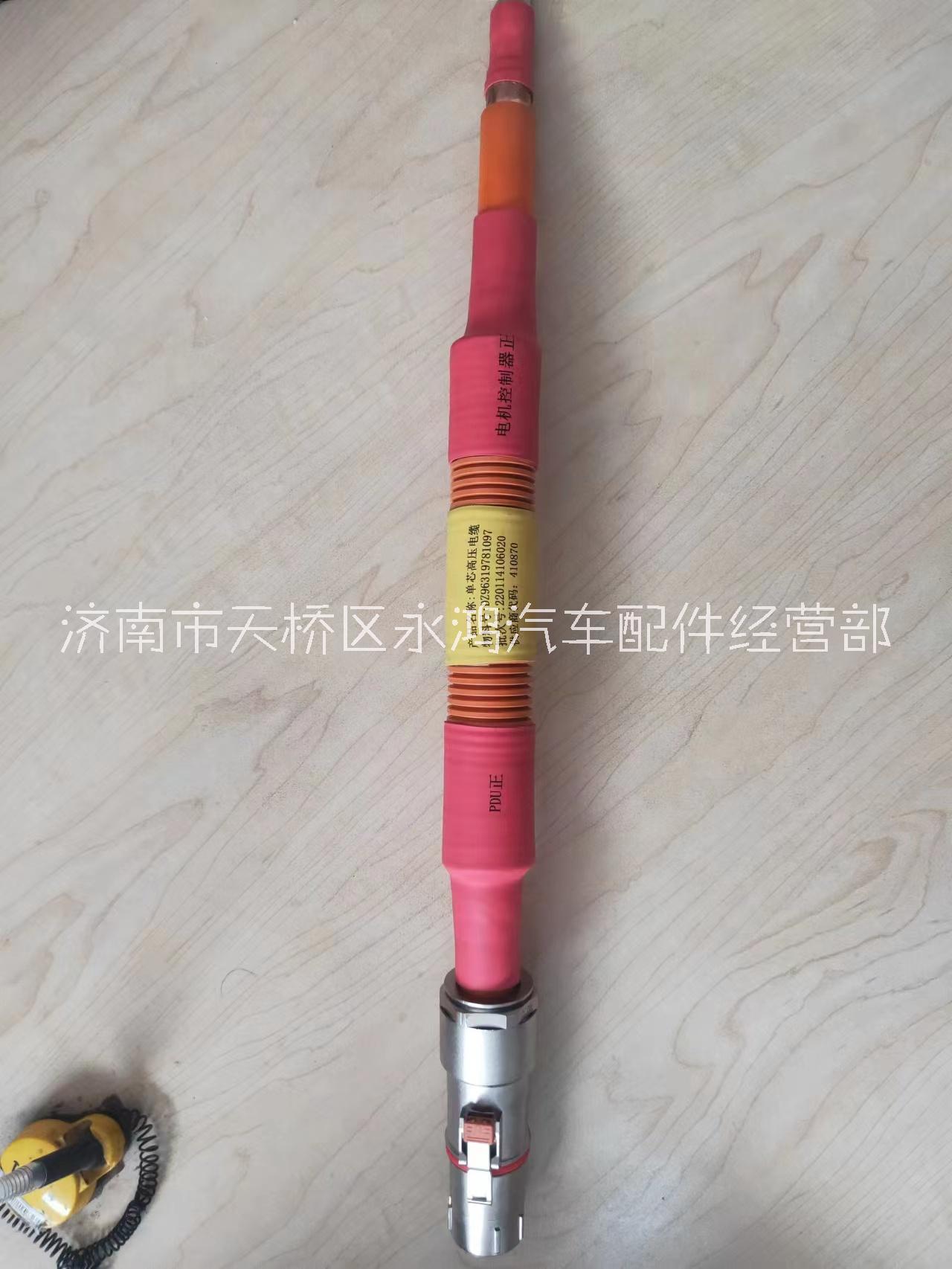 济南市新能言汽车单芯高压线缆厂家DZ96319781097 新能言汽车单芯高压线缆