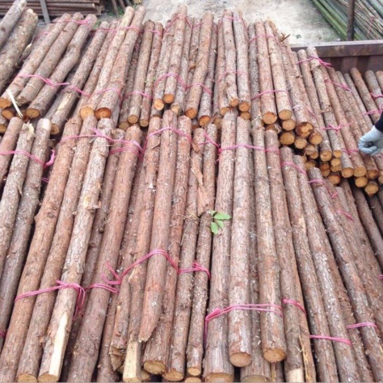 8米杉木杆 绿化杆 木杆8米  护岸杉木桩 河道生态打桩木 驳岸杉木杆订购