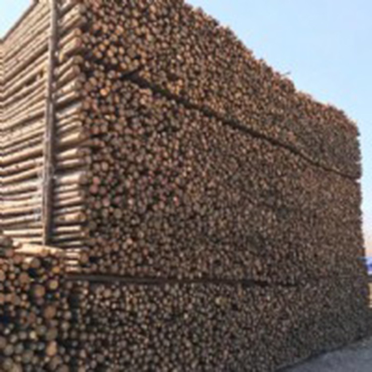 廊坊市杉木杆种植基地厂家杉木杆 园林绿化杉木杆  大量出售杉木杆 4米杉木杆  绿化支撑杉木杆 杉木杆种植基地