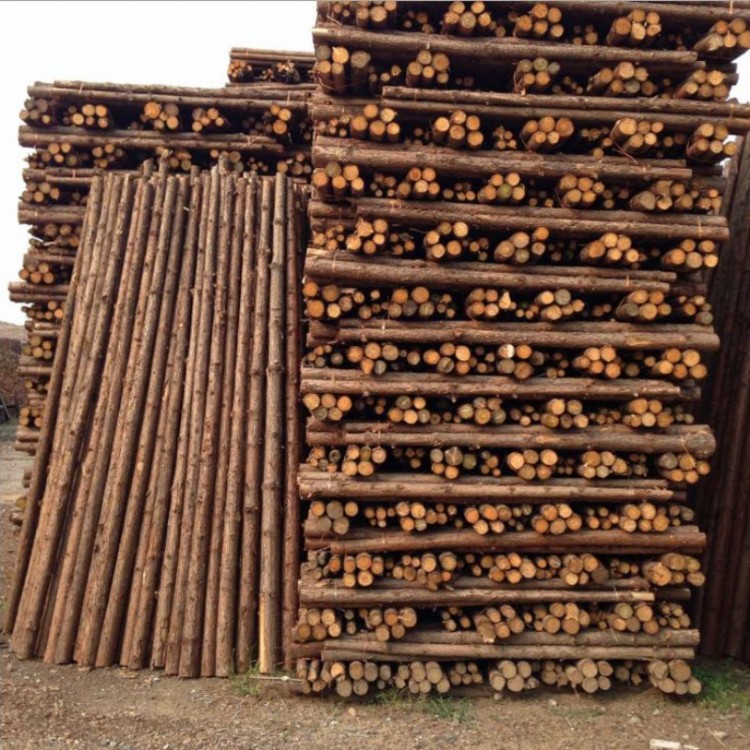 杉木杆 园林绿化杉木杆 杉木杆厂家价格 大量出售杉木杆 4米杉木杆  绿化支撑杉木杆