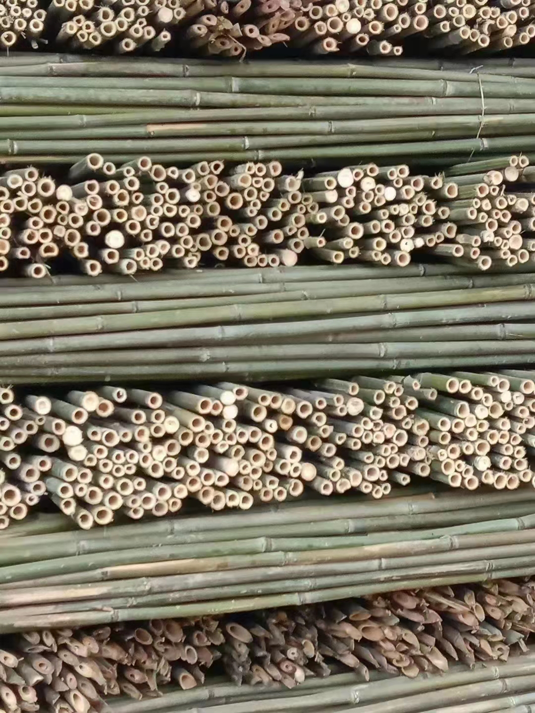 3米竹竿 竹片竹条 大棚竹竿 新鲜竹竿 蔬菜架 毛竹竹杆