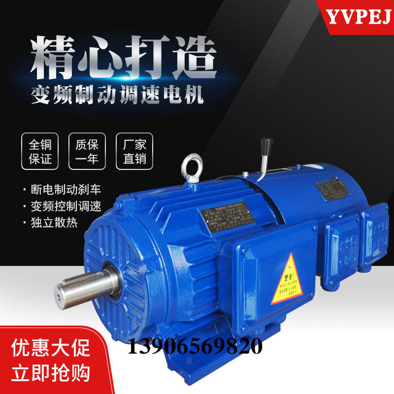 广东  YVPEJ变频制动调速电机 减速电动机380v