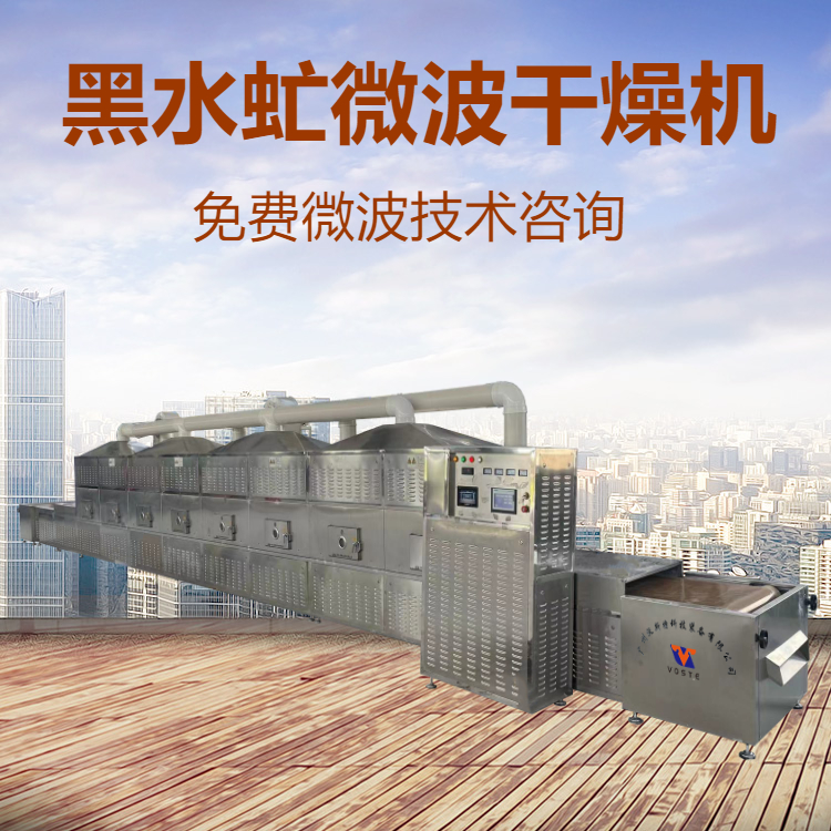 广州环保微波设备定制生产药材烘干脱水海鲜五谷杂粮微波膨化节能机器