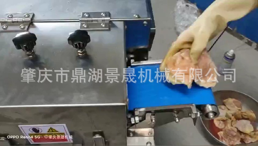 工厂供应商用鲜肉切丁机DS-650猪肉切丁 鸡肉切丁 肉类切丁设备