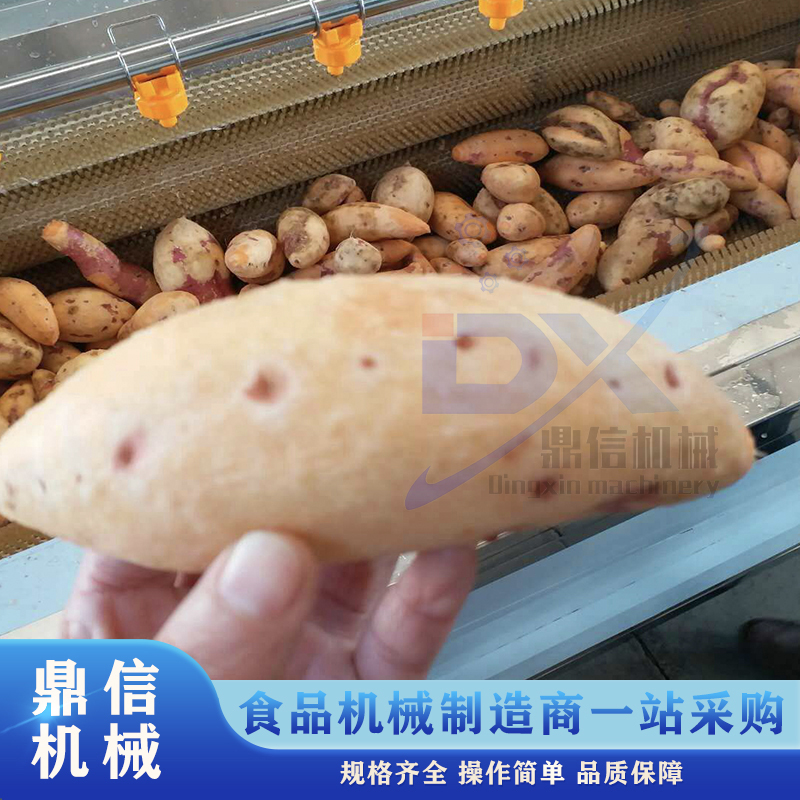 潍坊市红薯去皮清洗机厂家小型土豆清洗设备 红薯去皮清洗机 扇贝毛辊清洗机 地瓜去皮清洗机器