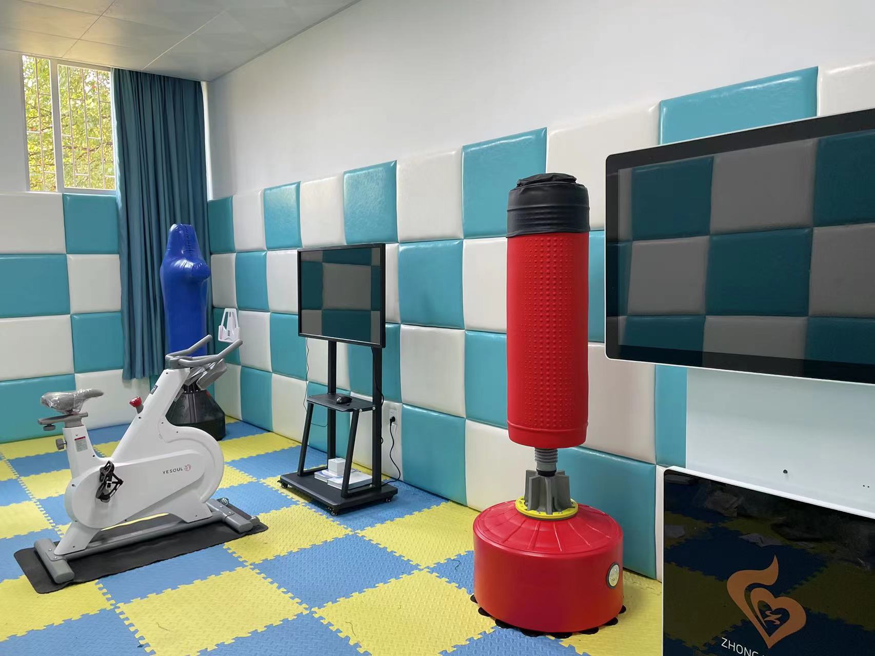 长沙市心理疏导室减压设备 心理放松设备 心理咨询室设备 中育普德厂家