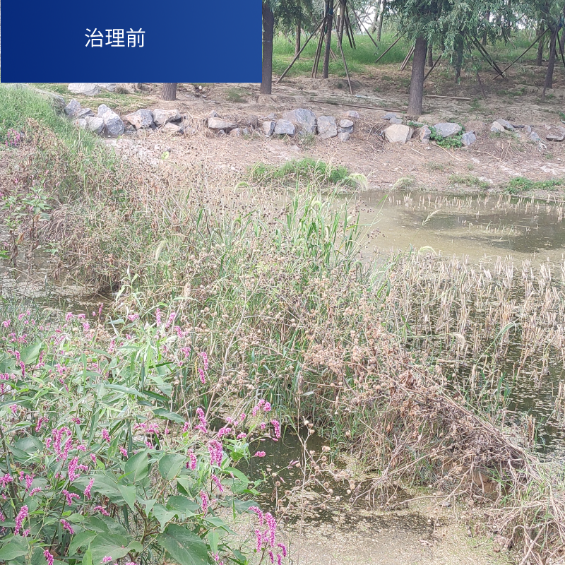 北京永固见效快控源截污市政建设生态水治理工程