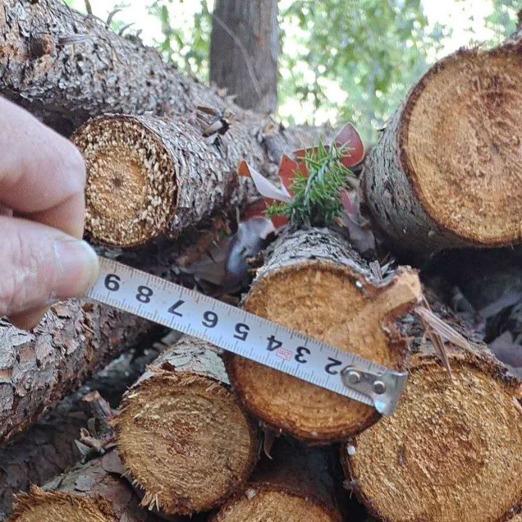 园林绿化杉木杆厂家-价格-供应-批发