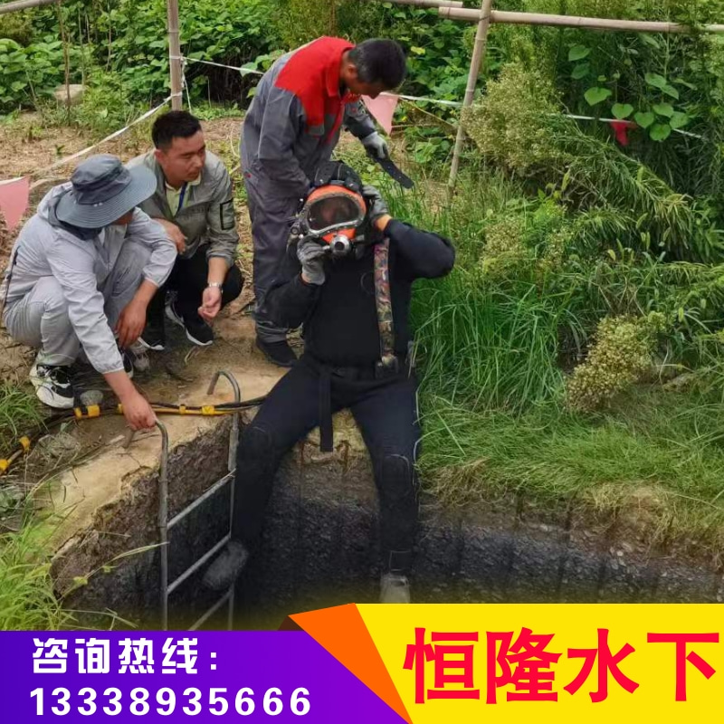 上海水下摄像作业-价格-工程-费用-哪家好（江苏恒隆水下工程有限公司）