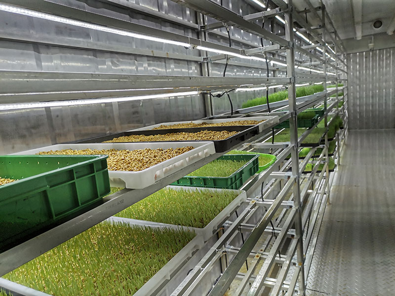 自动组装式水培牧草系统--金欣农业-自动化设施自动组装式水培牧草系统--金欣农业-自动化设施