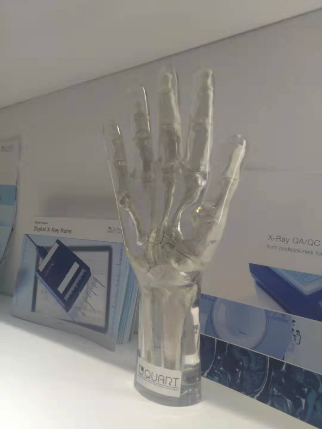 北京供应X射线手部模体-真人骨头X射线手部模体报价单-哪里有图片