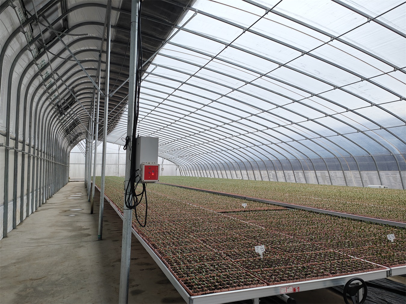 日光温室供应商 山东日光温室 蔬菜大棚暖棚定制安装