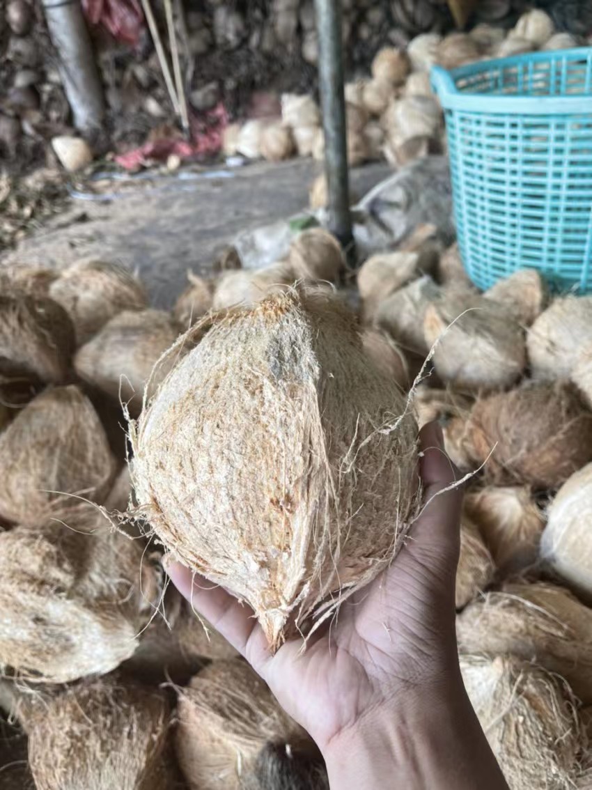 印尼干椰子进口清关时需要注意的问题
