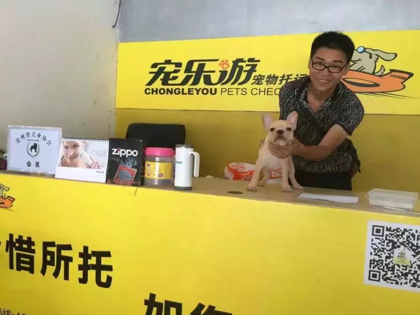 贵州本地宠物狗托运厂家-价格-供应商-电话