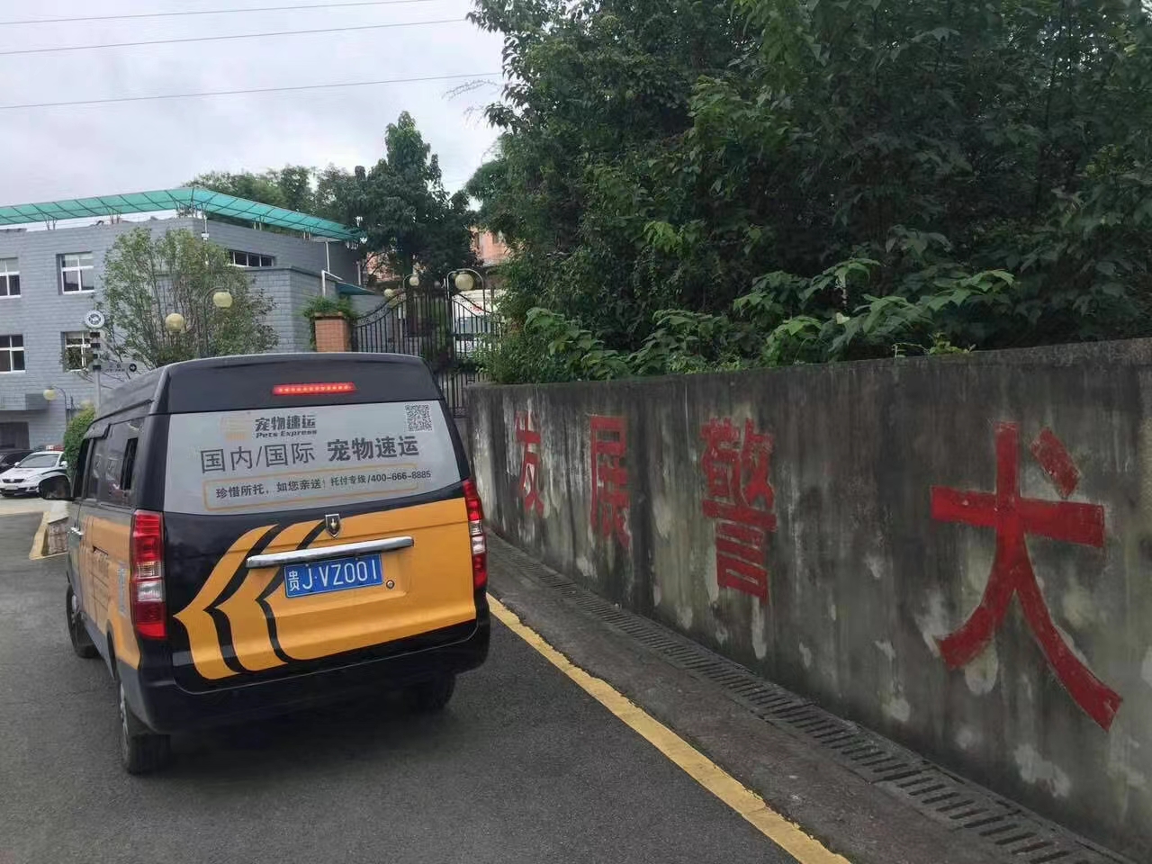 贵州贵阳到南通公路运输 飞机宠物托运 宠物狗宠物猫物流 飞机专车运输全国 贵阳发南通宠物托运