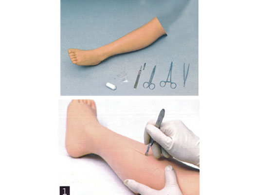 高 级外科缝合下肢模型JY/LV2佳悦科教通