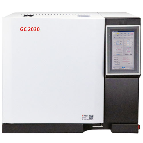 天然气检测气相色谱仪（热值分析） GC2030Plus气相色谱仪