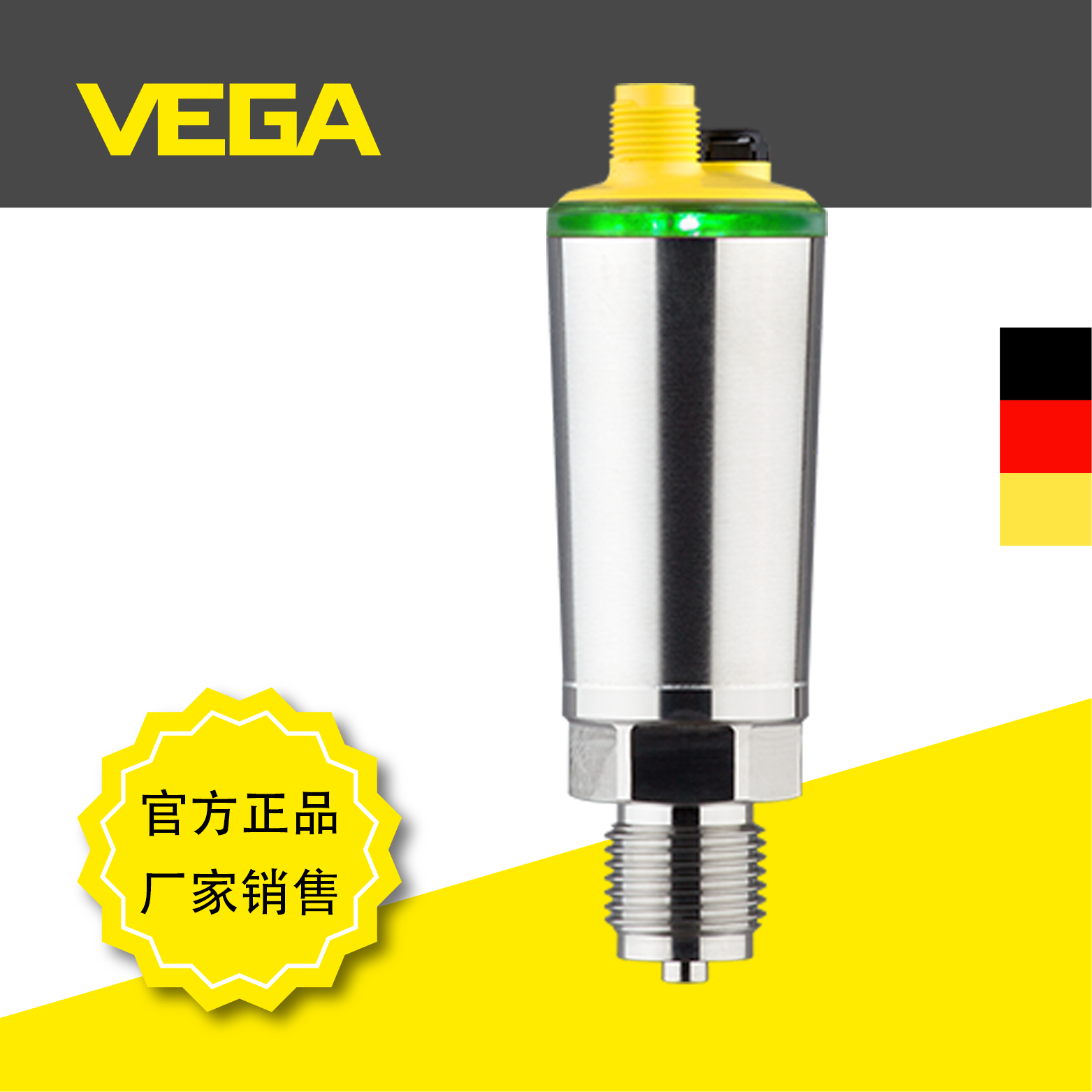 威格VEGABAR28陶瓷膜片压力变送器 环彩灯显示 卫生型适配接头 支持IO-Link 德国进口仪表图片