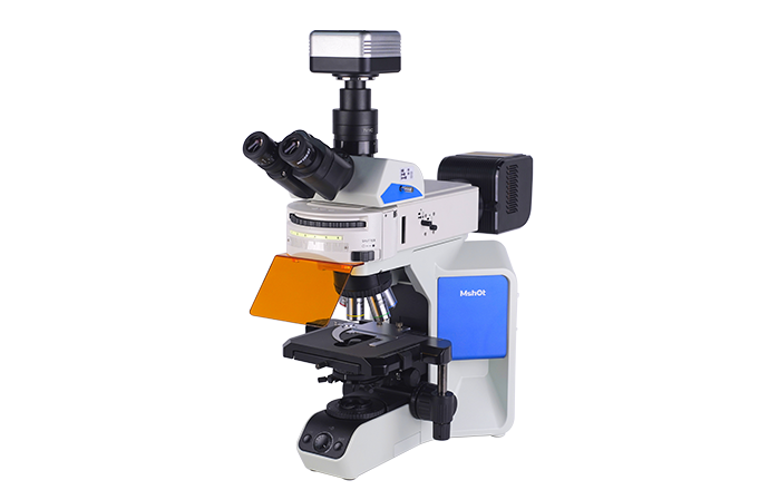 研究级正置荧光显微镜MF43-N