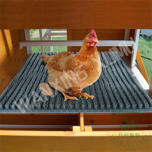 供应万兴畜牧鸡舍用塑料草垫 规格35×29.5×2cm