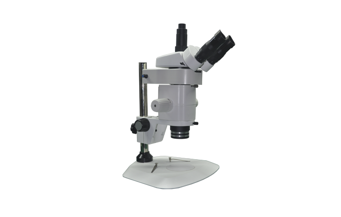 体视荧光显微镜MZX80