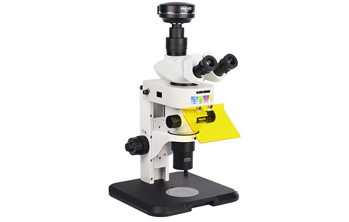 体视荧光显微镜MZX81