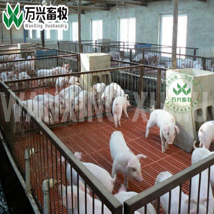 供应万兴畜牧猪场猪舍用塑料猪粪板 规格400×600mm